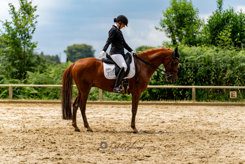 Halderner Pferdesporttag