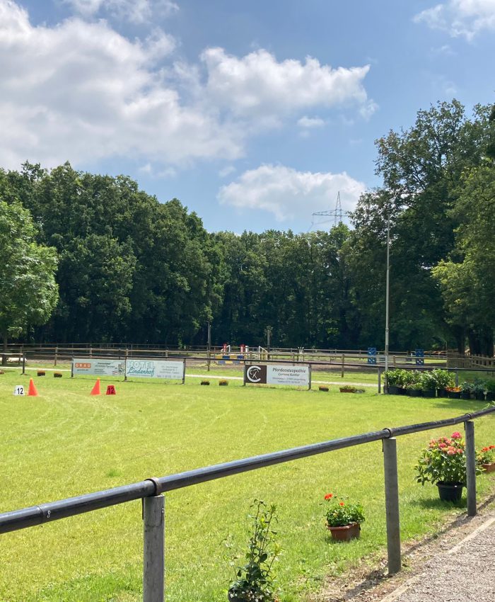 Arbeiten an der Vereinsanlage