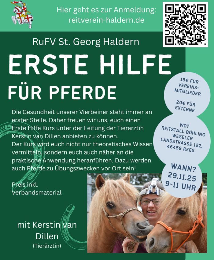 Eine Reihe von Vorträgen